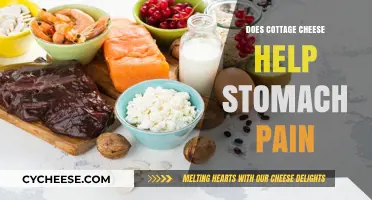 Cottage Cheese for Stomach Pain: Relief or Myth?