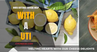 Cottage Cheese and UTIs: Unraveling the Myth for Better Health