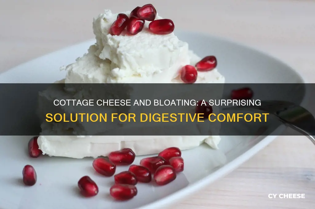 does cottage cheese help with bloating