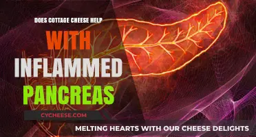 Cottage Cheese and Pancreatic Health: Anti-Inflammatory Benefits Explored