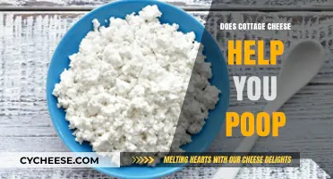 Cottage Cheese and Constipation: Can It Help You Poop?