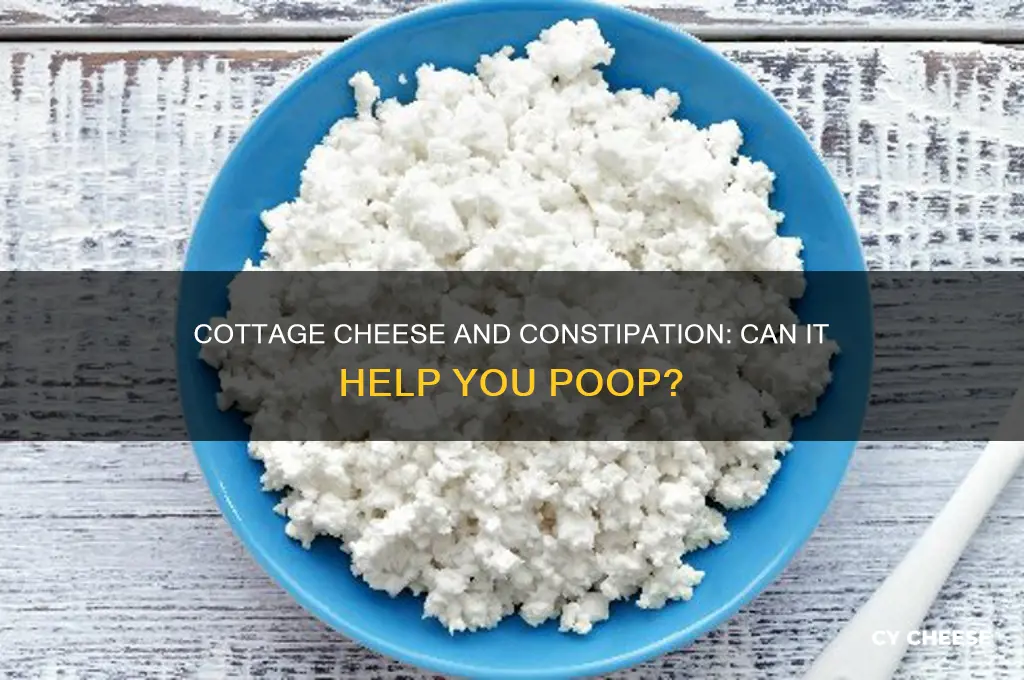 does cottage cheese help you poop
