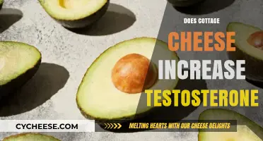 Cottage Cheese and Testosterone: Unraveling the Hormonal Connection