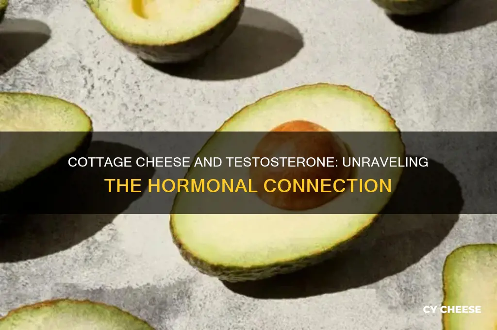 does cottage cheese increase testosterone