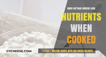 Cooking Cottage Cheese: Nutrient Retention or Loss Explained