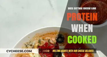 Does Cooking Cottage Cheese Reduce Its Protein Content?