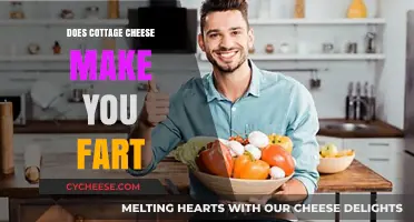 Cottage Cheese and Gas: Unraveling the Fart-Inducing Mystery