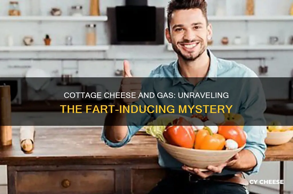 does cottage cheese make you fart