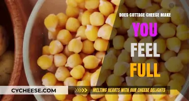Cottage Cheese and Satiety: Does It Keep You Feeling Full Longer?