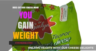 Cottage Cheese and Weight Gain: Fact or Fiction?