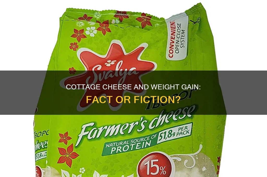 does cottage cheese make you gain weight