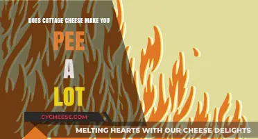 Cottage Cheese and Frequent Urination: Fact or Fiction?