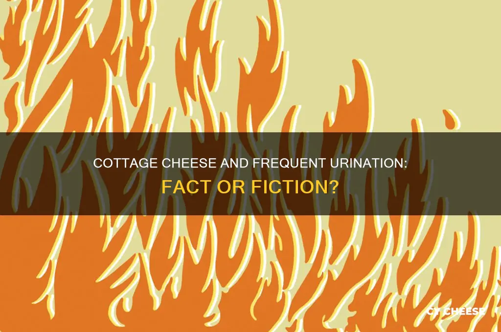 does cottage cheese make you pee a lot