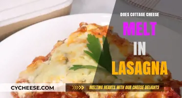 Does Cottage Cheese Melt in Lasagna? A Cheesy Debate Explored