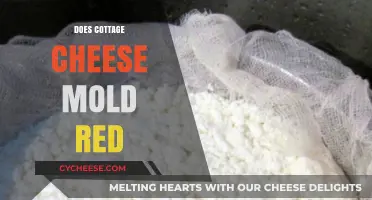Does Cottage Cheese Mold Red? Understanding Causes and Prevention Tips