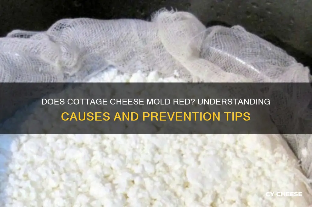 does cottage cheese mold red
