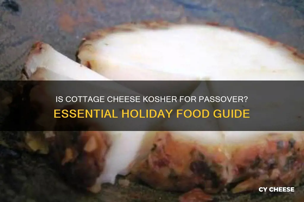 does cottage cheese need to be kosher for passover