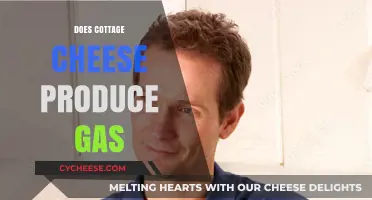 Does Cottage Cheese Cause Gas? Unraveling the Digestive Truth