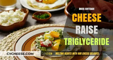 Cottage Cheese and Triglycerides: Unraveling the Impact on Heart Health