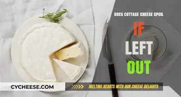 Does Cottage Cheese Spoil Overnight? Risks of Leaving It Out