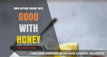 Cottage Cheese and Honey: A Sweet and Savory Taste Test