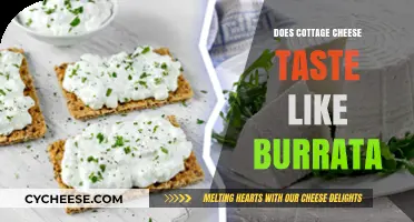 Cottage Cheese vs. Burrata: A Taste Comparison and Texture Analysis