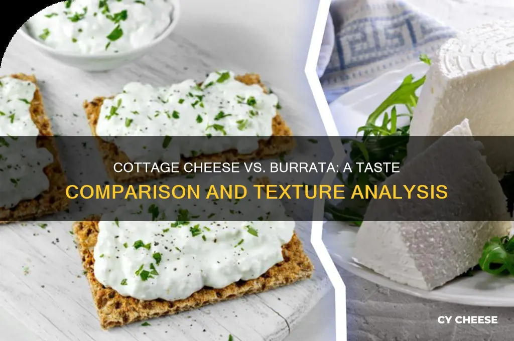 does cottage cheese taste like burrata