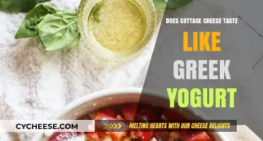 Cottage Cheese vs. Greek Yogurt: A Taste Comparison Guide