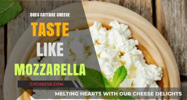 Cottage Cheese vs. Mozzarella: A Taste Comparison and Texture Analysis