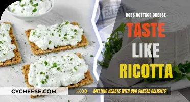 Cottage Cheese vs. Ricotta: A Taste Comparison and Texture Analysis