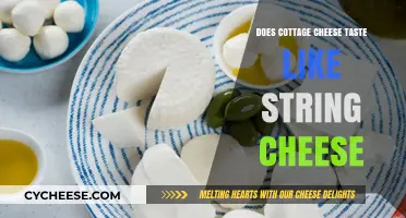 Cottage Cheese vs. String Cheese: A Taste Comparison and Texture Analysis