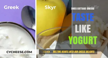 Cottage Cheese vs. Yogurt: A Taste Comparison and Texture Analysis