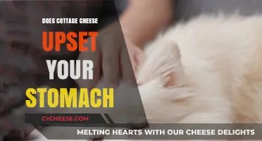 Cottage Cheese and Stomach Issues: What You Need to Know