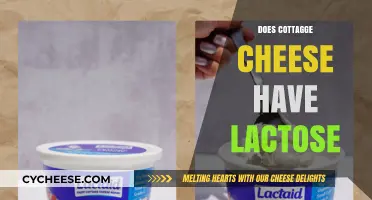 Does Cottage Cheese Have Lactose? Unraveling the Dairy Dilemma
