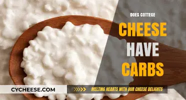 Cottage Cheese and Carb Content: What's the Truth?
