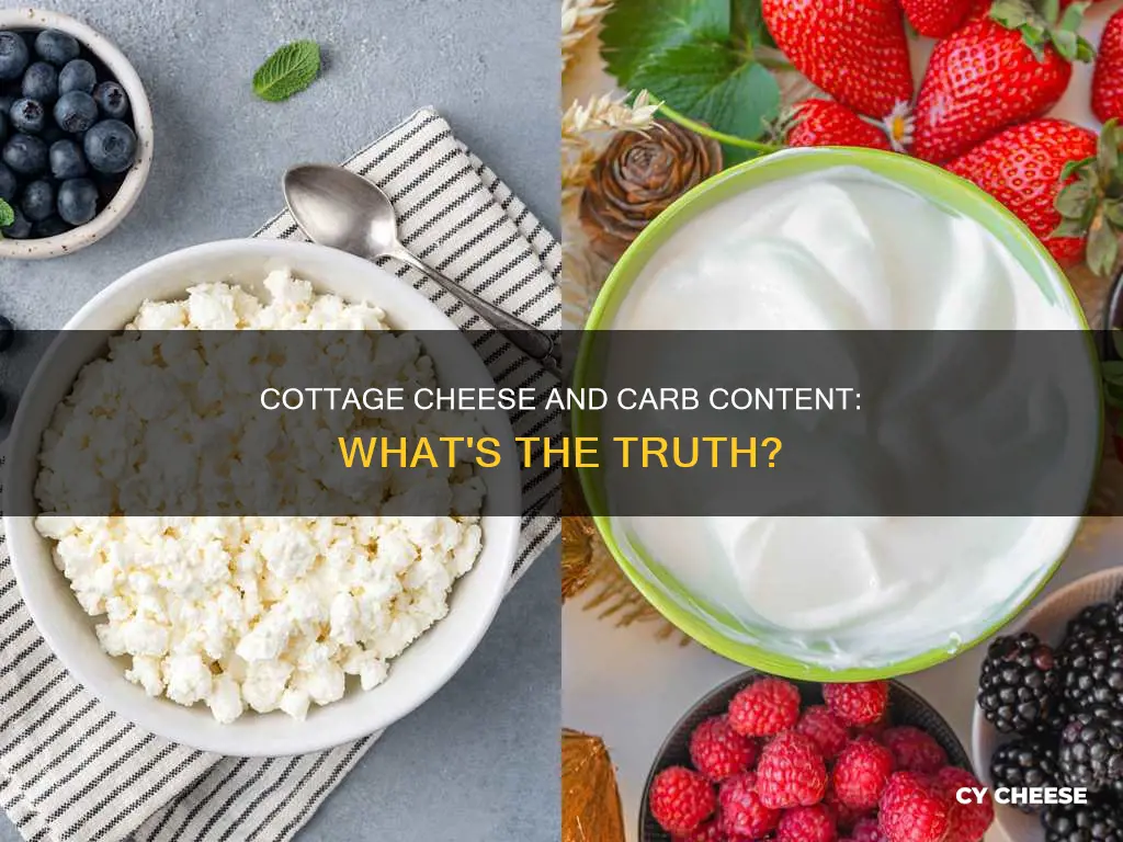 does cottege cheese have carbs