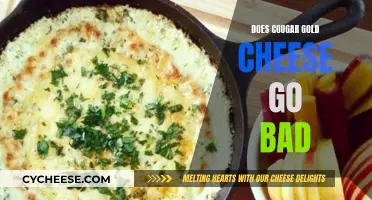 Cougar Gold Cheese: Does it Go Bad?