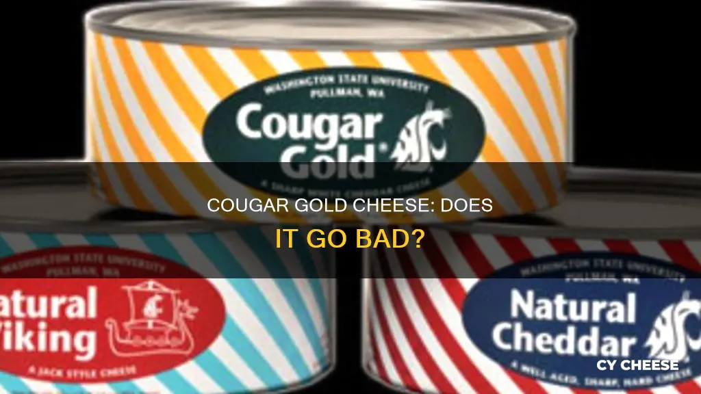 does cougar gold cheese go bad