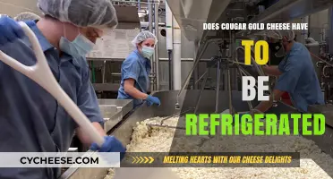 Does Cougar Gold Cheese Require Refrigeration? Storage Tips Revealed