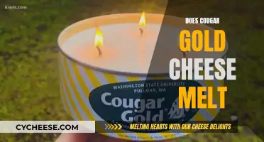Cheese Pulls: Melting Cougar Gold for the Perfect Stretch