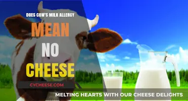 Cow's Milk Allergy: Can You Still Enjoy Cheese Safely?