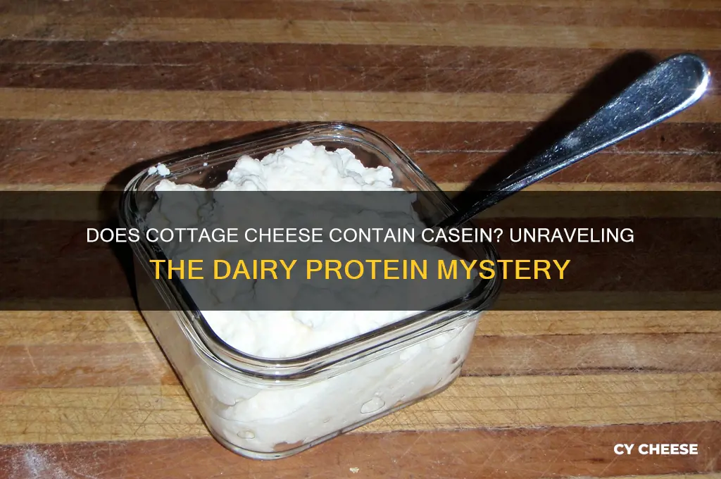 does coytage cheese have casein