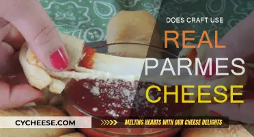 Craft's Parmesan: Real Deal or Fake Cheese?
