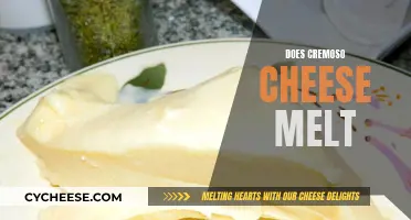 Cremoso Cheese: Melting and Stretching to Perfection