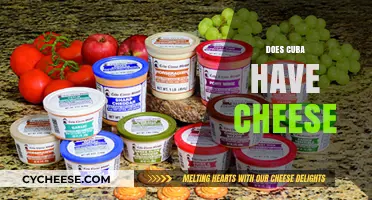 Exploring Cuban Cuisine: Does Cuba Have Cheese and What Types?