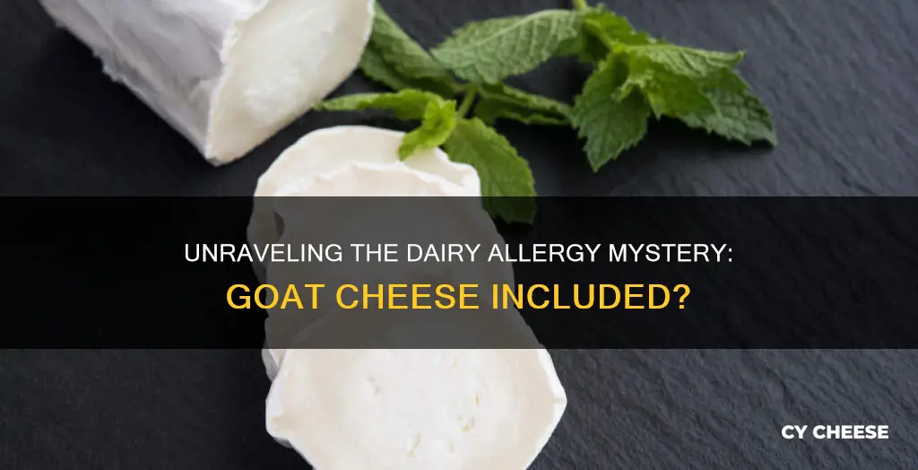 does dairy allergy include goat cheese