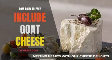 Goat Cheese and Dairy Allergies: What's the Connection?