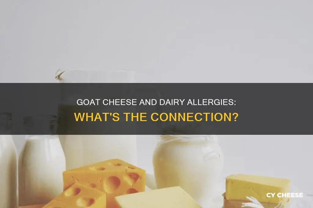 does dairy allergy include goat cheese