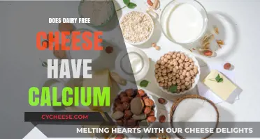 Dairy-Free Cheese: Does It Have Calcium?