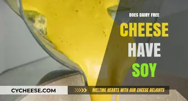 Soy in Dairy-Free Cheese: What You Need to Know